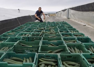 La empresa española indemnizada por Hamburgo: “Nadie nos compraba nada, estuvimos a punto de cerrar” La empresa española indemnizada por Hamburgo: “Nadie nos compraba nada, estuvimos a punto de cerrar”