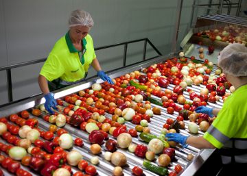 Los dueños de Pepsi apuestan a lo grande por el gazpacho: invertirán 31 millones en una fábrica Alvalle