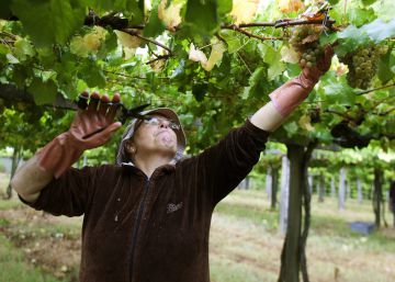El campo inicia movilizaciones por el futuro de la actividad agraria