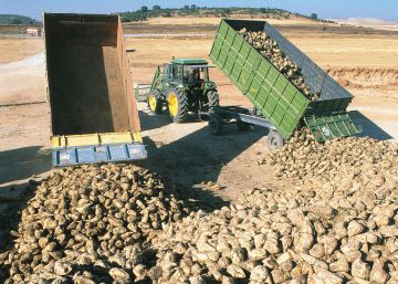 La industria del azúcar se liberaliza La industria del azúcar se liberaliza