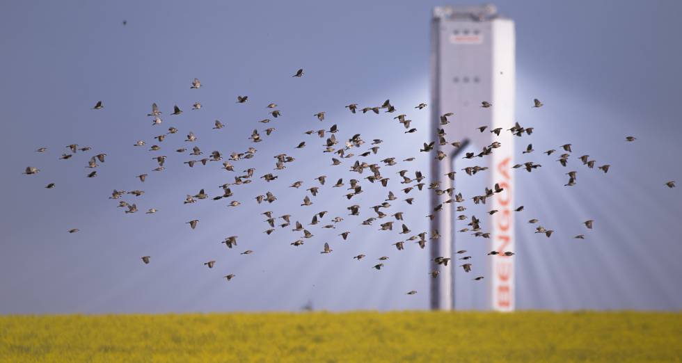 El ascenso y la pesadilla de Abengoa: la obsesión de poder que llevó a la empresa al abismo