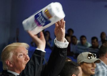 Que coman papel de cocina Que coman papel de cocina