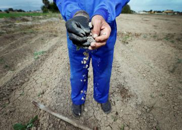 Las subvenciones se estancan y las primas crecen en los seguros agrarios