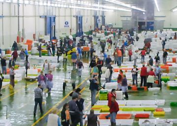 22 agentes portuarios de Vigo y 7 armadores, implicados en una red venta ilegal de pescado