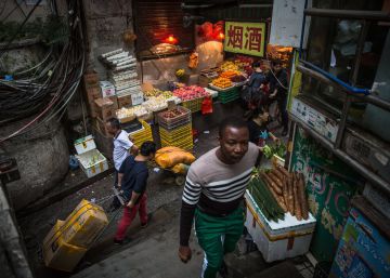 Desde la cuna hasta la tumba: utopías olvidadas