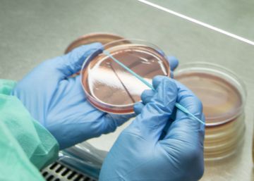 Ciencia con Cantabria en la piel