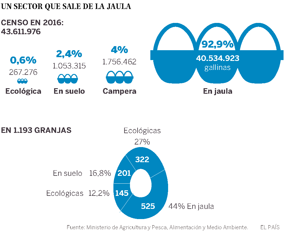 Los huevos camperos se imponen