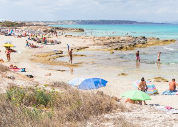 Formentera limitará la entrada de vehículos en verano de 2019