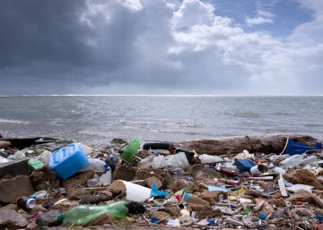 ¿Cómo arreglar el mar desde dentro?