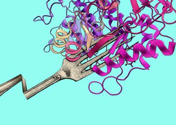 El gran negocio alimentario de las proteínas