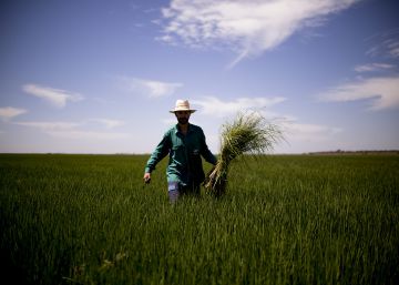 España y cinco países de la UE firman una declaración contra el recorte de las ayudas agrarias