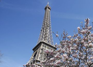 París denuncia a Airbnb y otras plataformas por el alquiler sin permiso de viviendas