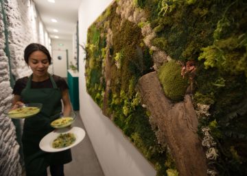 Gastronomía ‘verde’ en expansión