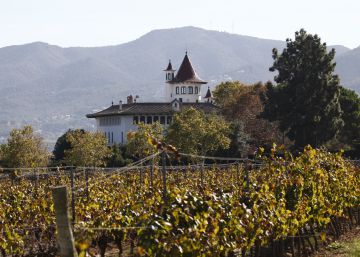 Las pequeñas bodegas abren la guerra contra el cava barato