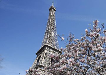 Airbnb propone a Francia bloquear los anuncios si exceden los límites legales