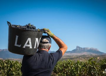 Sogrape ensaya con uvas fuera de la Península Ibérica