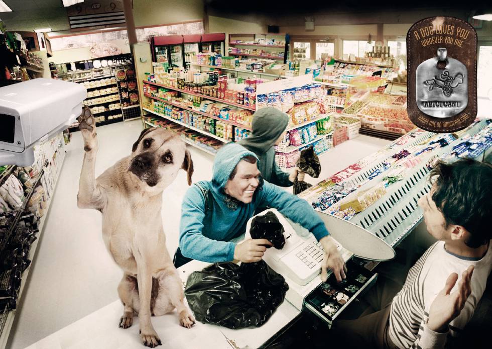 El hombre es el mejor amigo del perro