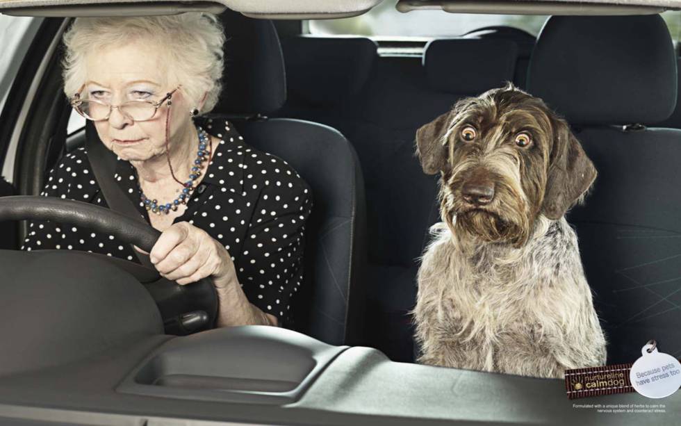 El hombre es el mejor amigo del perro