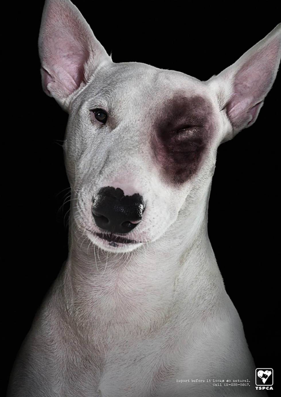 El hombre es el mejor amigo del perro