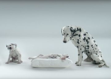 El hombre es el mejor amigo del perro