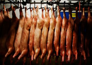 Ofensiva de Trabajo contra los falsos autónomos de los mataderos