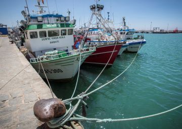 La flota andaluza mantendrá su cuota de pesca tras el acuerdo de Marruecos y la UE