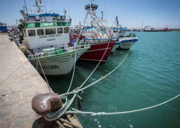 Bruselas pagará a Marruecos 52 millones al año por el acuerdo de pesca