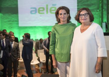 Las eléctricas se quitan la ‘caspa’ y su patronal cambia de nombre