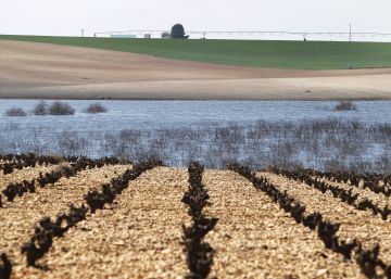El 40% de los receptores de ayudas agrícolas europeas tienen más de 65 años