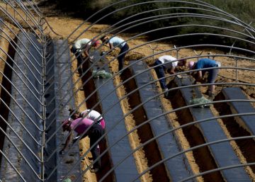 El Banco de España achaca las pobres subidas salariales al deterioro del mercado laboral y la baja inflación