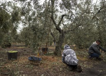 Plomo en las alas de Andalucía
