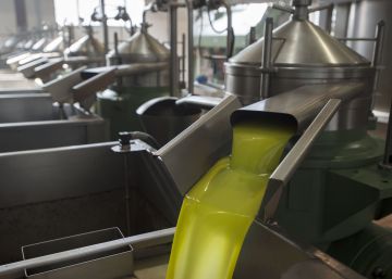 Agricultura modificará la normativa del aceite