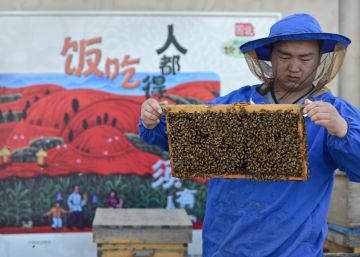 El Ministerio de Agricultura intenta frenar la invasión de miel china