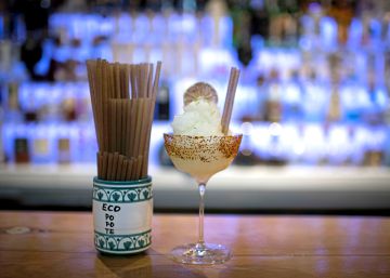 La segunda vida de la planta del mezcal