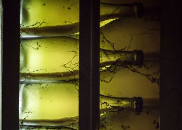 El cava catalán despide las rencillas familiares
