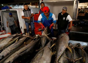 México pierde la ‘guerra del atún’ con EE UU