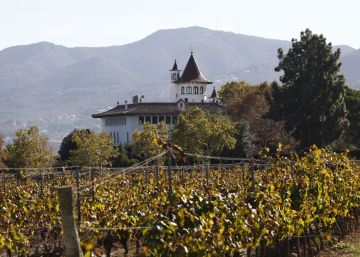 Agricultura congela las autorizaciones de nuevas plantaciones de cava