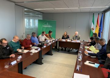 Los taxistas andaluces empiezan a movilizarse para frenar a los VTC