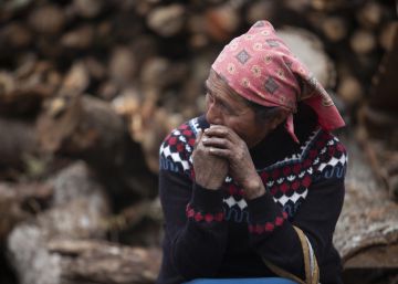 El abandono del campo amarga la crisis del café en México
