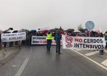 Diez alcaldías, y una en duda, contra 126.000 marranos