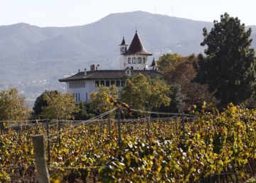 El vino español bate el récord de exportaciones en 2018