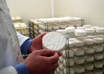 La interminable guerra del camembert en Francia