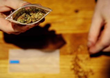 Compra multimillonaria en el negocio de la marihuana de Estados Unidos