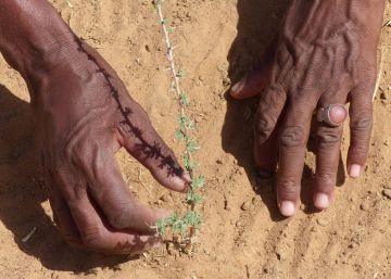 De Siria a España: preservar la protección social ante el cambio climático