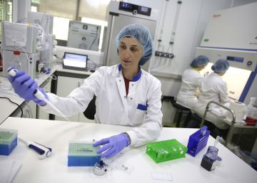 Carne ‘in vitro’ a la conquista de nuestras mesas
