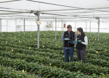 Los herbicidas del futuro están en Utrera