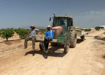 El campo se resiste a tener que pagar el salario mínimo