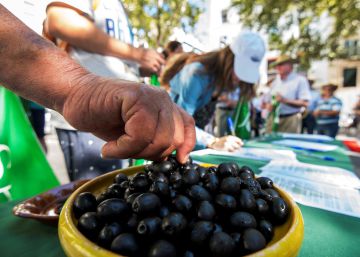 La OMC analizará los aranceles de EEUU a las aceitunas negras españolas