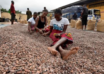 Costa do Marfim e Gana abrem guerra com gigantes do chocolate e ameaçam suspender produção de cacau