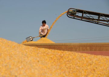 Una mayor productividad mantendrá bajos los precios de los alimentos la próxima década